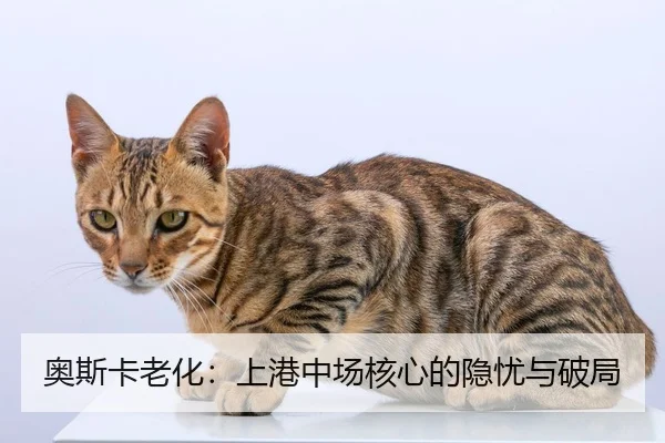 ao-si-ka-lao-hua-shang-gang-zhong-chang-he-xin-de-yin-you-yu-po-ju-2-980.jpg