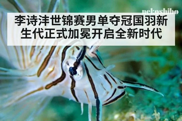 李诗沣世锦赛男单夺冠国羽新生代正式加冕开启全新时代